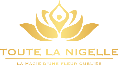 logo toutelanigelle